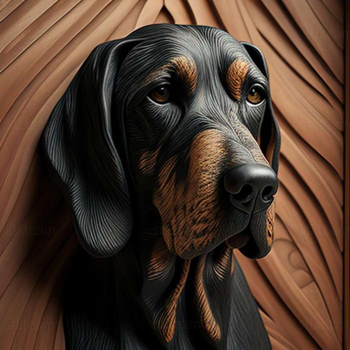 Animals Black and tan Coonhound dog